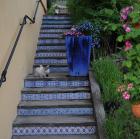 Sulamith Kräuter Garten