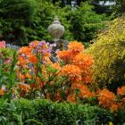 Sulamith Garten im Frühling