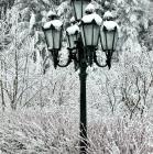 Winterlichte Leuchte