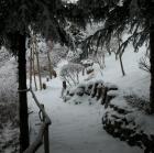 Spaziergang durch den winterlichen Garten