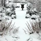 Malerischer Garten im Winter