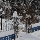 Winter Garten